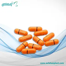 قرص ریشه ۱۰ تایی مستر لاین