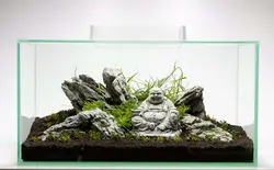 سنگ رایوscenery aquarium rock
