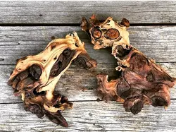 چوب موپانیdrift wood