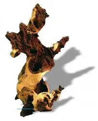 چوب موپانیdrift wood