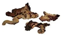 چوب موپانیdrift wood