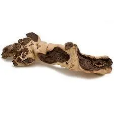 چوب موپانیdrift wood