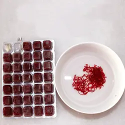 غذای ماهی کرم قرمز منجمد۱۰۰g