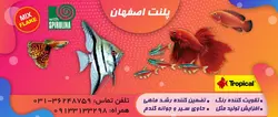غذای میکس ۴رنگ تروپیکال(۳۰گرمی)