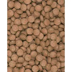 غذایی قرصی برای کف خوار ها و سخت پوستان مدل Supervit Tablets B
