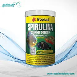 غذا ماهی Tropical Spirulina Super Forte Granulat - پلنت اصفهان