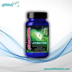 از بین برنده باکتری Deep Ocean - پلنت اصفهان