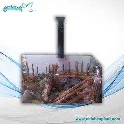 پایه نورتهران شریمپ