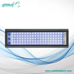 نور P900 PRO ویک آکوا
