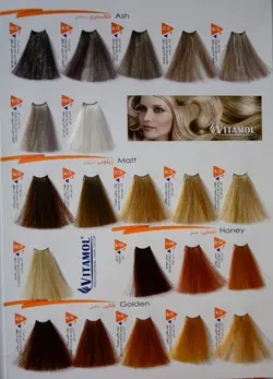 رنگ مو ویتامول (Vitamol) عسلی (شماره 6/54 عسلی) حجم 120 میل