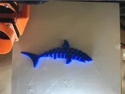 فیجت مفصلی کوسه