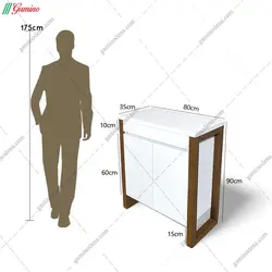 جاکفشی ماهان