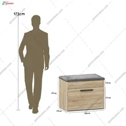 جاکفشی خاور