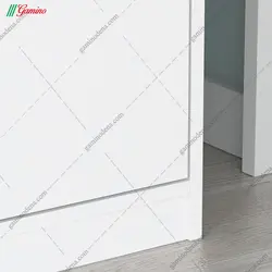 جاکفشی نشیمن دار برفی