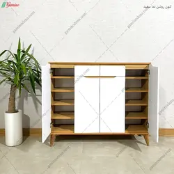 جاکفشی پارمیس