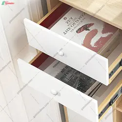 جاکفشی میران