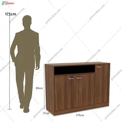 جاکفشی آریو