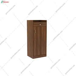 جاکفشی لیانا