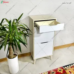 جاکفشی گلدیس