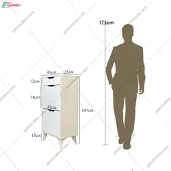 جاکفشی گلدیس