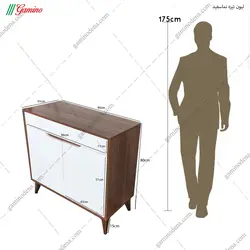 جاکفشی تمیس