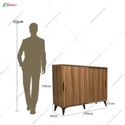 جاکفشی هاکان