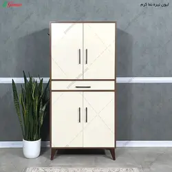 جاکفشی شاینا