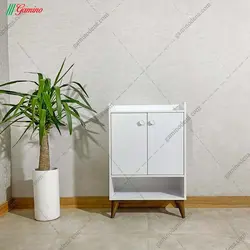 جاکفشی آتوسا