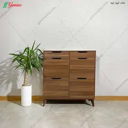 جاکفشی آنیا