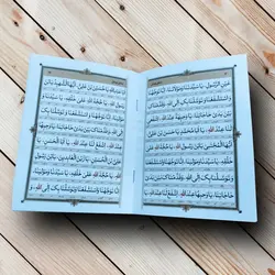 زیارت عاشورا + دعای توسل + زیارت امین الله