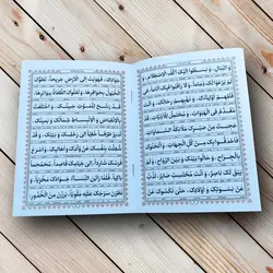 خرید زیارت عاشورا + زیارت ناحیه مقدسه
