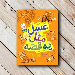 خرید کتاب عسل مثل یه قصه (96 صفحه) ✓ گنج صادق