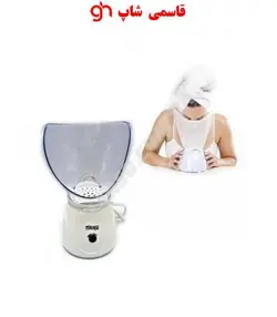 دستگاه بخور گرم رومیزی دی اس پی مدل DSP F-70011 - فروشگاه اینترنتی قاسمی شاپ