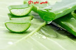 ژل آبرسان پوست آلوِئه ورا 99% 300 میل - فروشگاه اینترنتی قاسمی شاپ