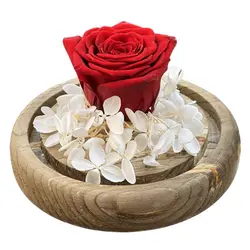 حباب گل رز و هورتانسیا جاودان