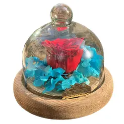 حباب گل رز و هورتانسیا جاودان