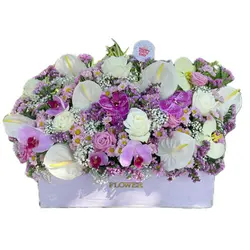 باکس رویال ارکیده