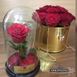 استوانه طلایی با 25 شاخه رز هلندی