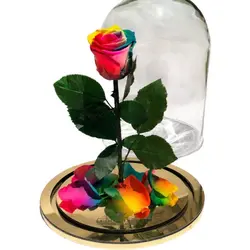 گل دیو و دلبر تک شاخه جاودان(ماندگاری 3 سال)