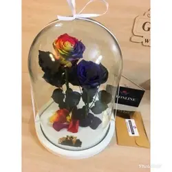 گل دیو و دلبر تک شاخه جاودان(ماندگاری 3 سال)