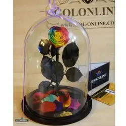 گل دیو و دلبر تک شاخه جاودان(ماندگاری 3 سال)