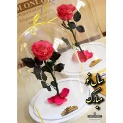گل دیو و دلبر تک شاخه جاودان(ماندگاری 3 سال)