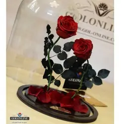 گل دیو و دلبر دو شاخه جاودان(ماندگاری 3 سال)