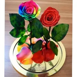 گل دیو و دلبر دو شاخه جاودان(ماندگاری 3 سال)