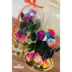 گل دیو و دلبر سه شاخه جاودان(ماندگاری 3 سال)