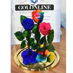 گل دیو و دلبر سه شاخه جاودان(ماندگاری 3 سال)