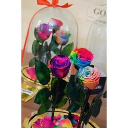 گل دیو و دلبر سه شاخه جاودان(ماندگاری 3 سال)