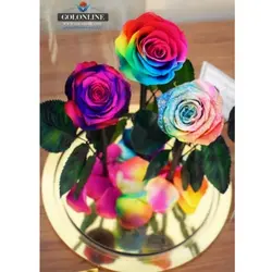 گل دیو و دلبر سه شاخه جاودان(ماندگاری 3 سال)