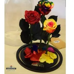 گل دیو و دلبر سه شاخه جاودان(ماندگاری 3 سال)