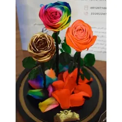 گل دیو و دلبر سه شاخه جاودان(ماندگاری 3 سال)